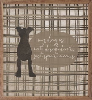 My Dog Is Not Disobedient Plaid By Amylee Weeks